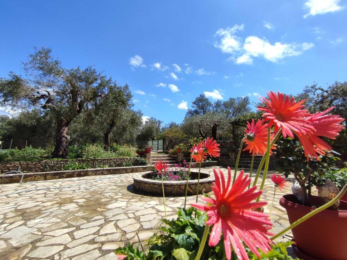 Villa Olive Garden, Kastanida - Paxoi Gáiosz Kültér fotó